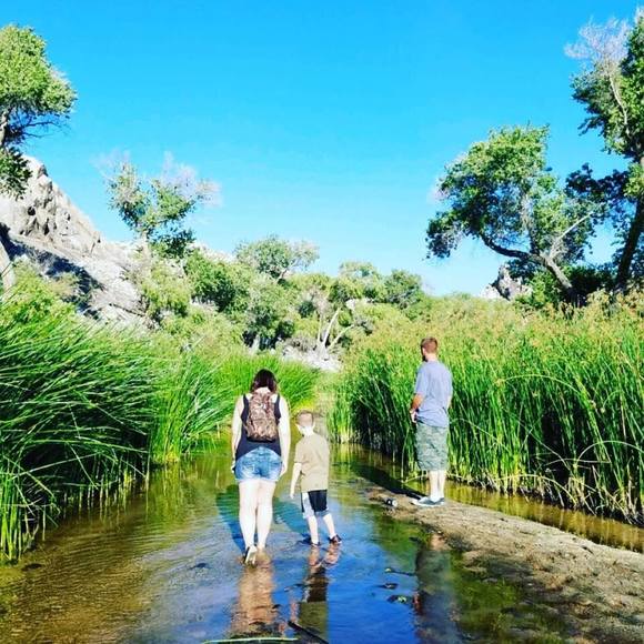 Meet your Posher, Robert - Picture 1 of 1